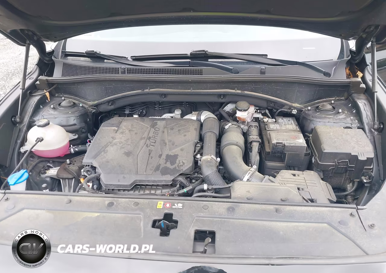 2023 Hyundai Santa Fe Limited VIN:5NMS4DAL3PH616279 - 10
