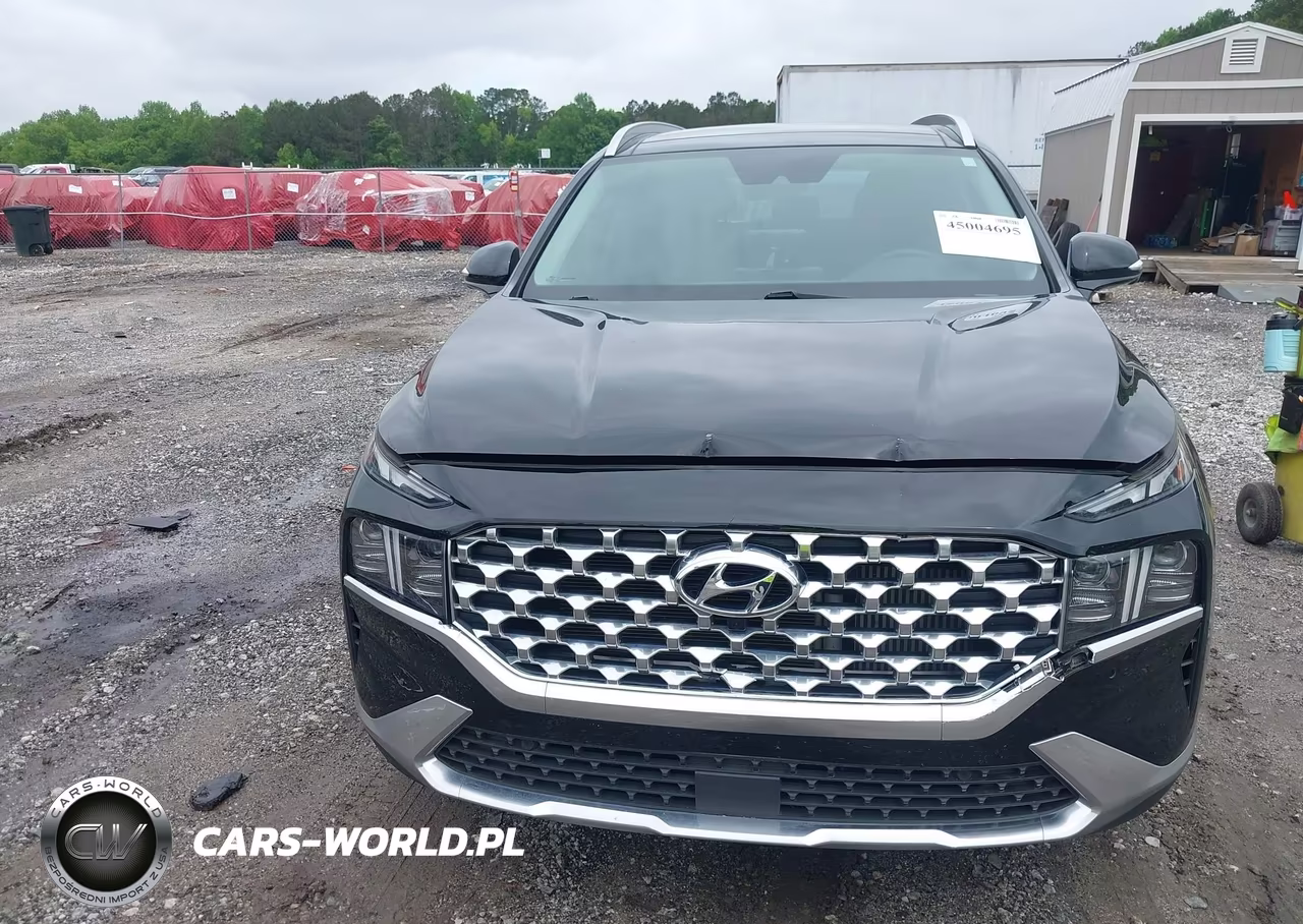 2023 Hyundai Santa Fe Limited VIN:5NMS4DAL3PH616279 - 12