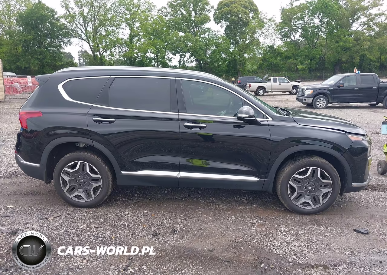2023 Hyundai Santa Fe Limited VIN:5NMS4DAL3PH616279 - 13