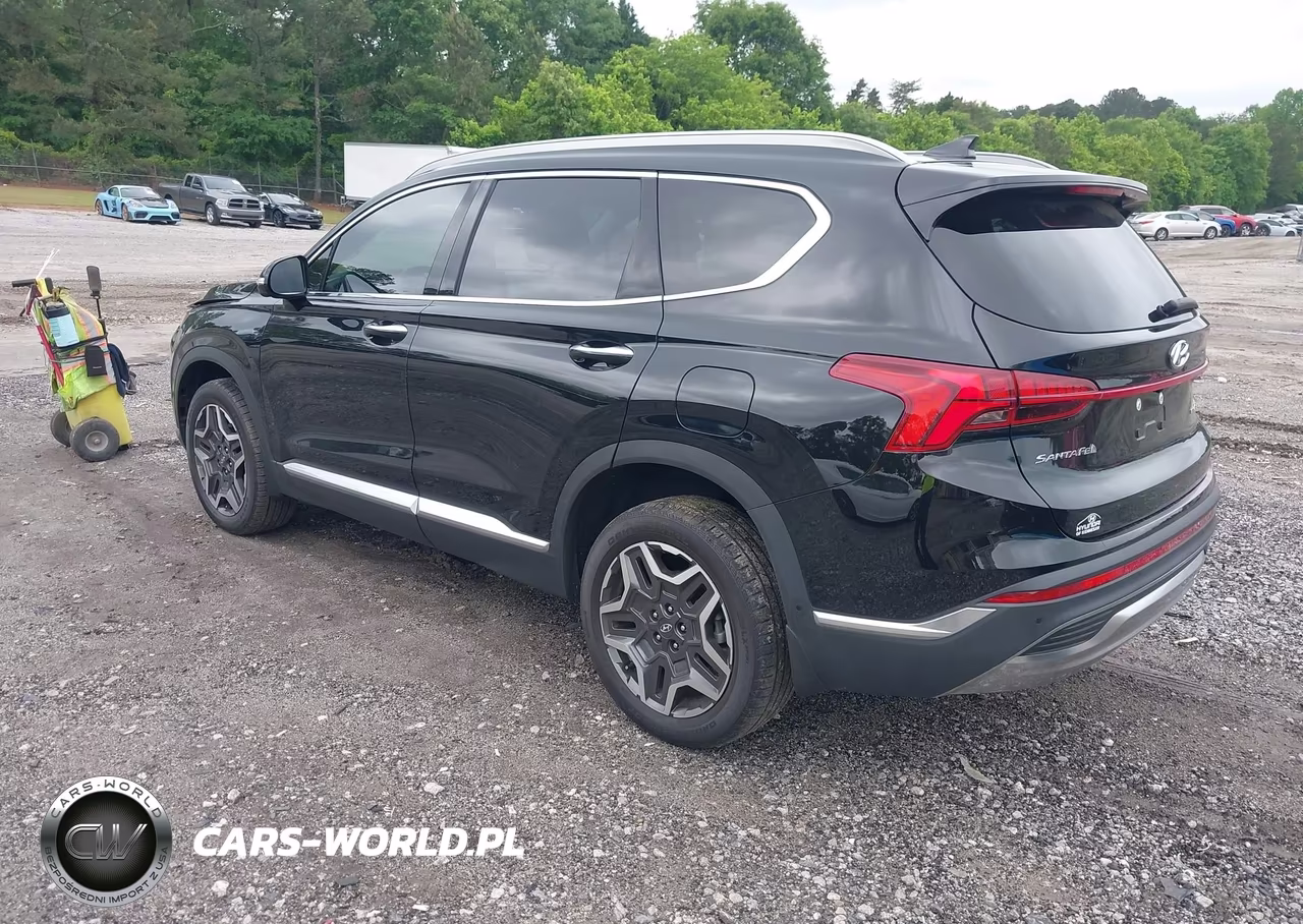 2023 Hyundai Santa Fe Limited VIN:5NMS4DAL3PH616279 - 3
