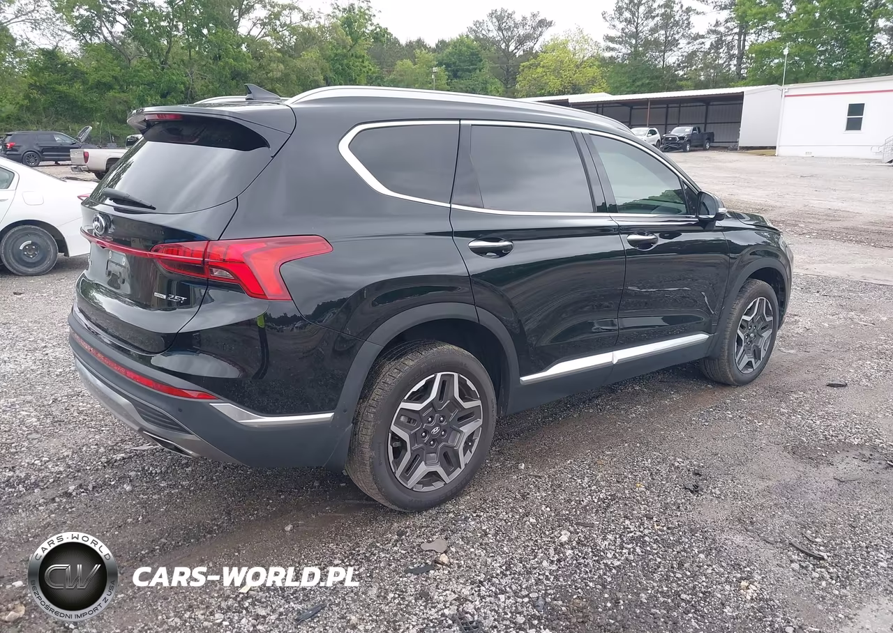 2023 Hyundai Santa Fe Limited VIN:5NMS4DAL3PH616279 - 4