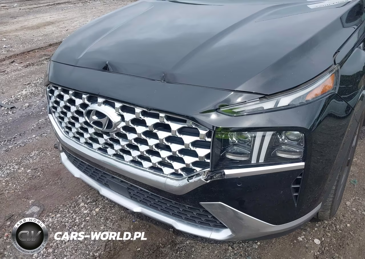 2023 Hyundai Santa Fe Limited VIN:5NMS4DAL3PH616279 - 6
