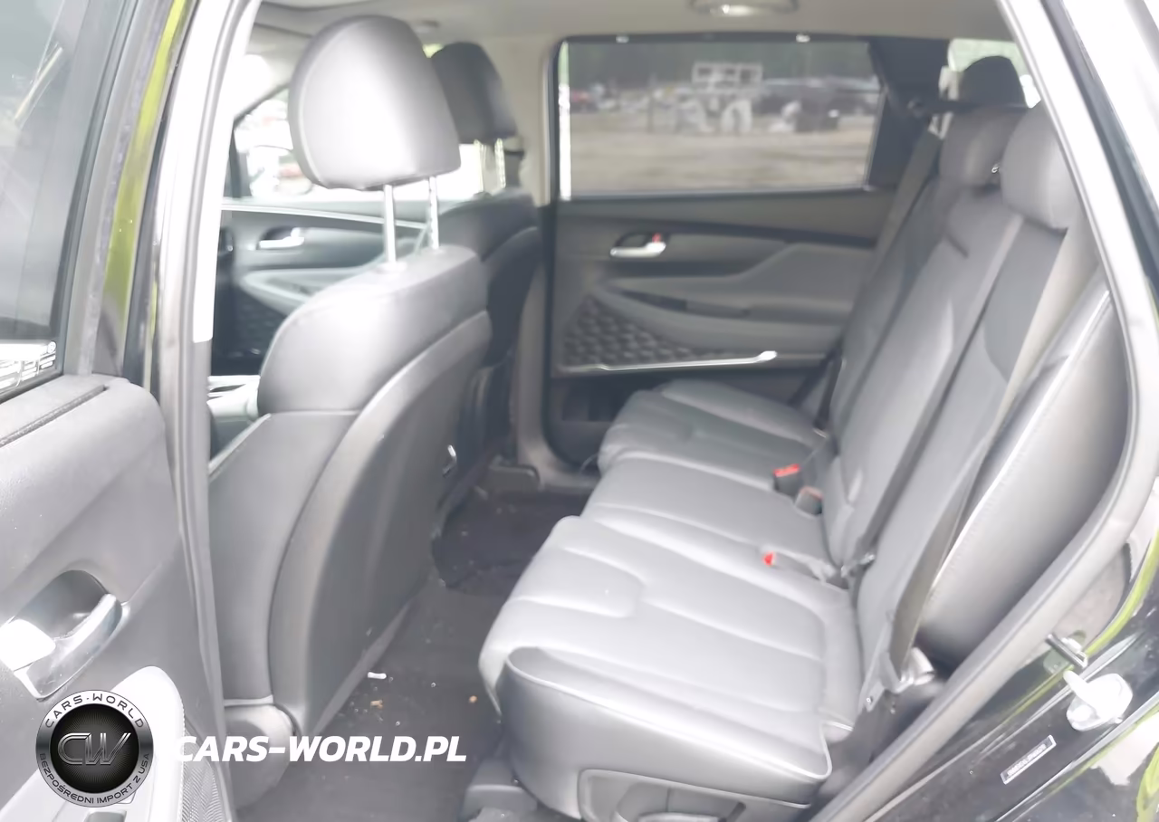 2023 Hyundai Santa Fe Limited VIN:5NMS4DAL3PH616279 - 8