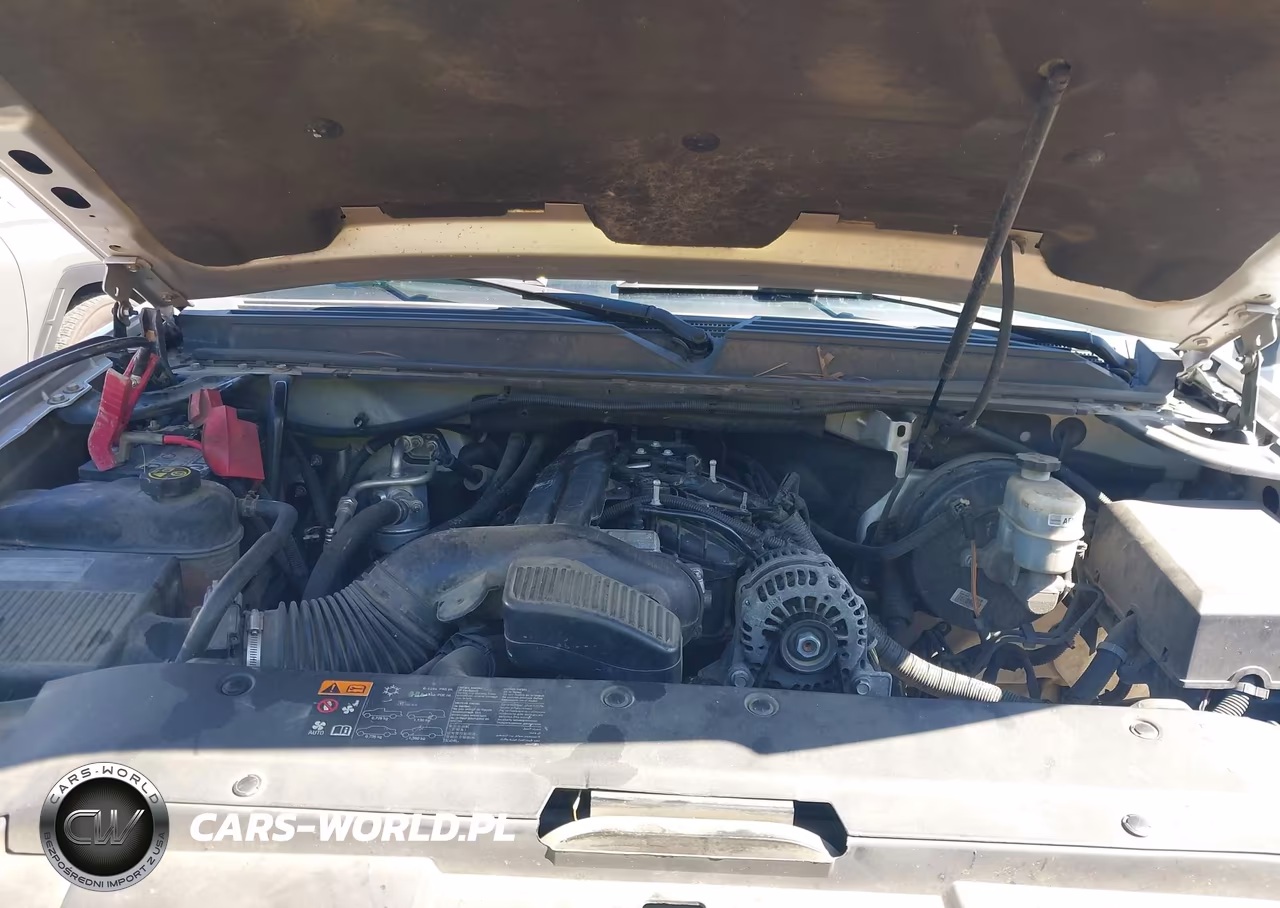 2013 Chevrolet Avalanche Ls VIN:3GNMCEE02DG116176 - 10