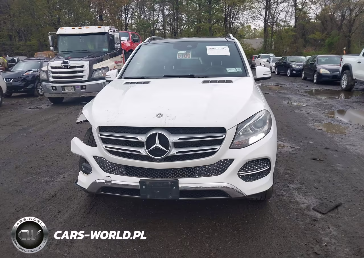 2017 Mercedes-Benz Gle 350 4Matic VIN:4JGDA5HB6HA950303 - 12