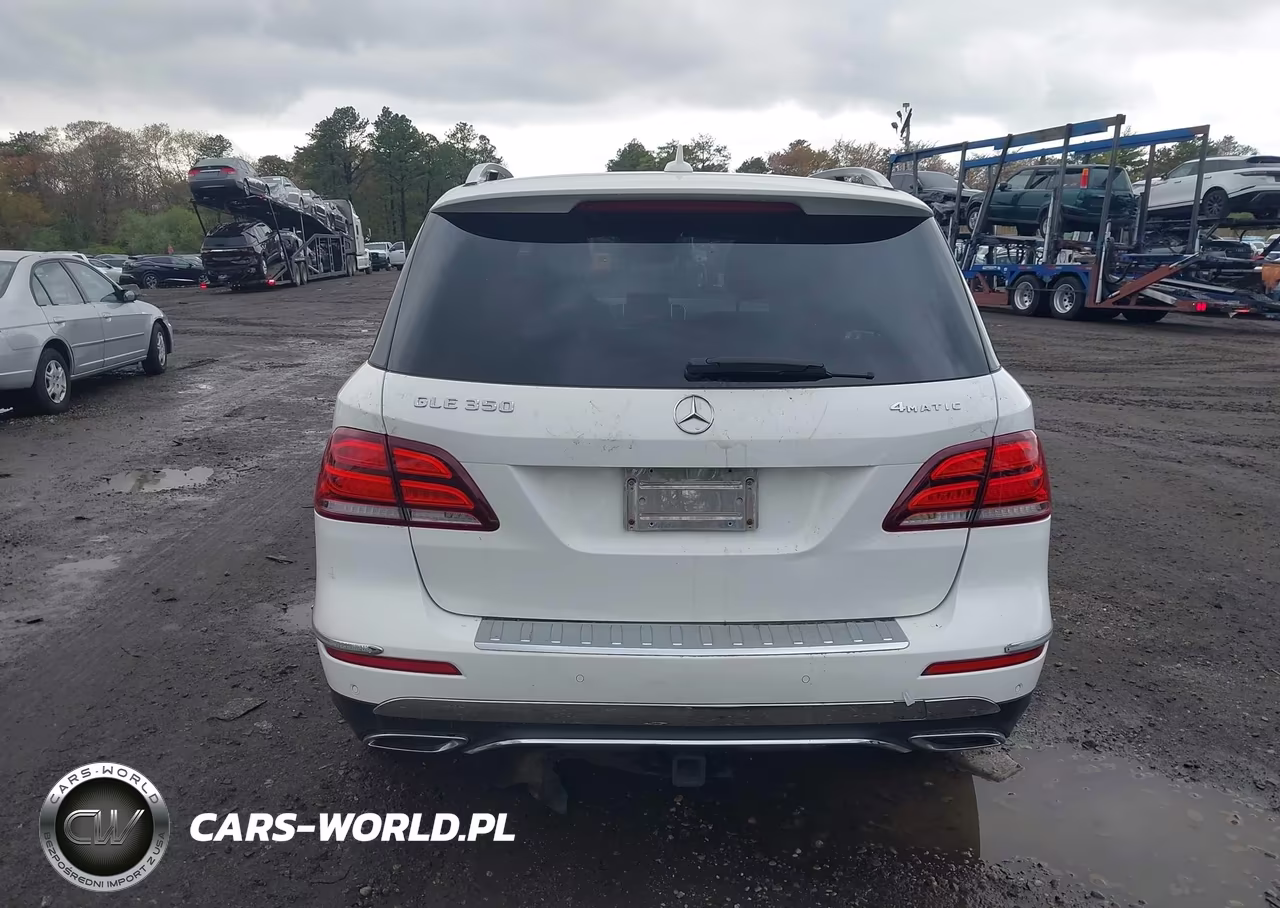 2017 Mercedes-Benz Gle 350 4Matic VIN:4JGDA5HB6HA950303 - 16