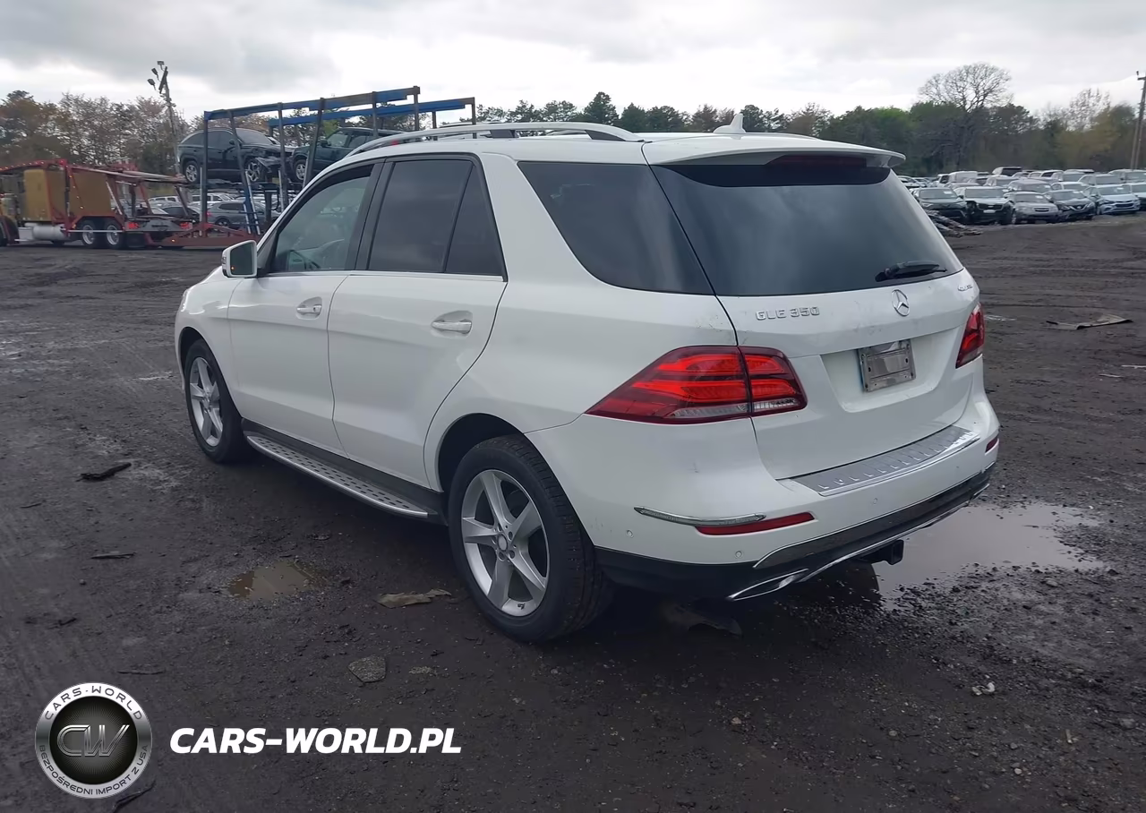 2017 Mercedes-Benz Gle 350 4Matic VIN:4JGDA5HB6HA950303 - 3