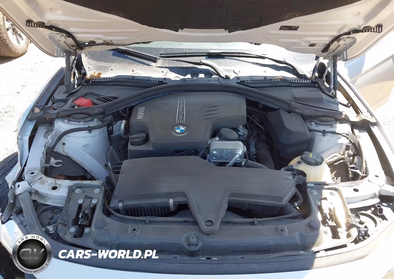 2016 BMW 320I VIN:WBA8A9C57GK618178 - 10