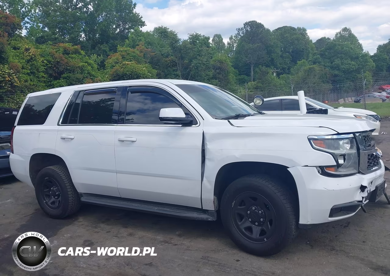 2019 Chevrolet Tahoe Commercial Fleet VIN:1GNLCDEC2KR290603 - 13