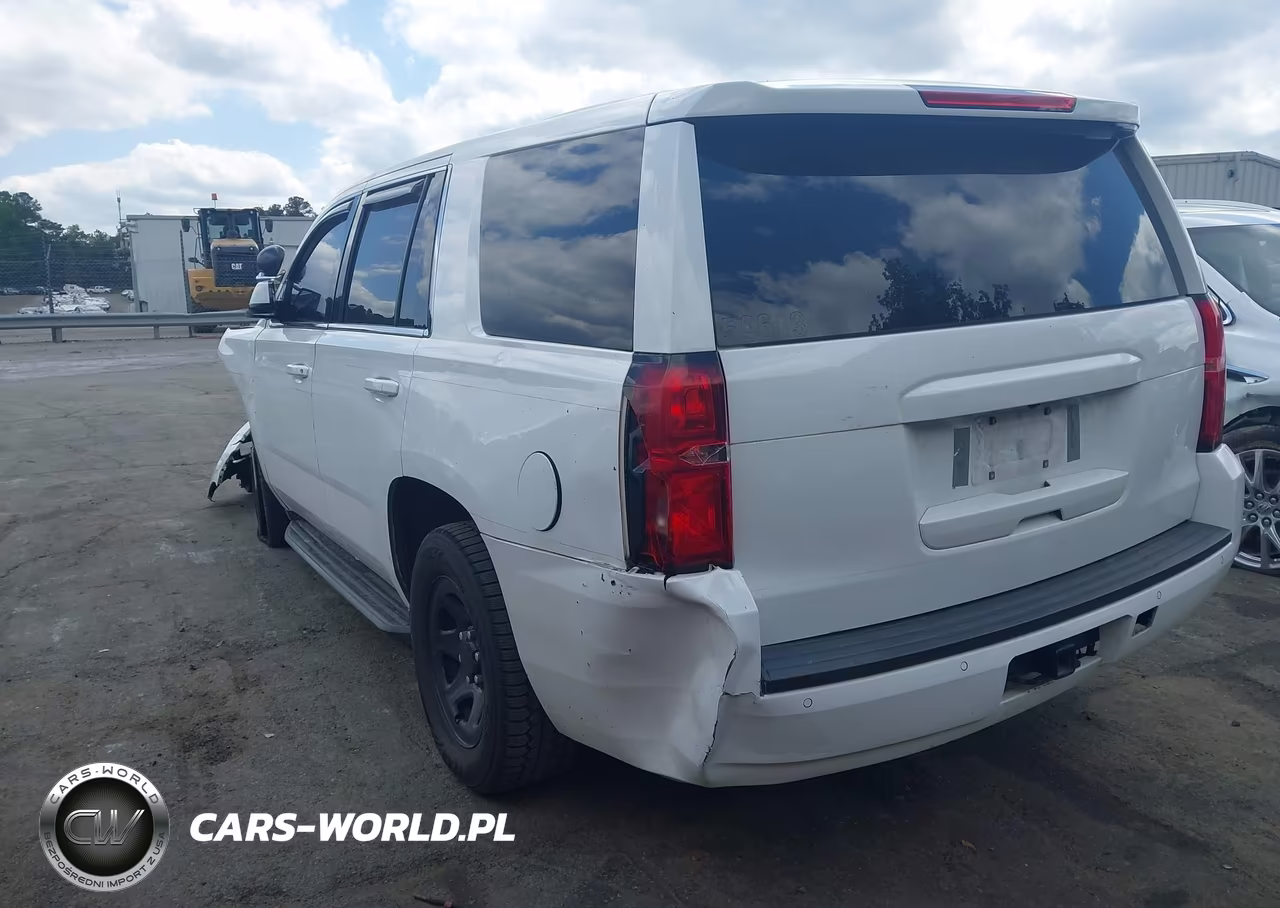 2019 Chevrolet Tahoe Commercial Fleet VIN:1GNLCDEC2KR290603 - 3