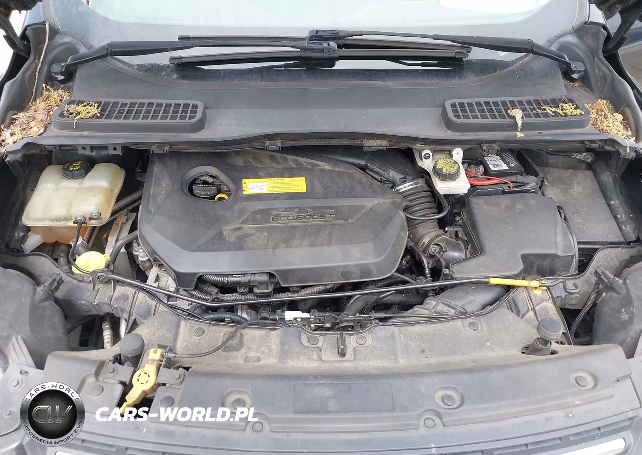 2015 Ford Escape Se VIN:1FMCU0GX5FUA74564 - 10
