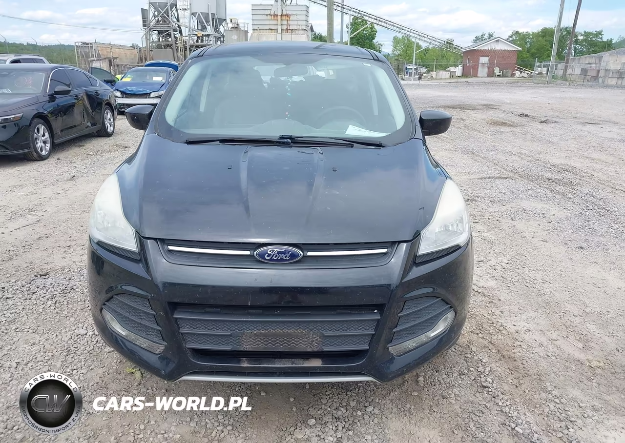 2015 Ford Escape Se VIN:1FMCU0GX5FUA74564 - 12
