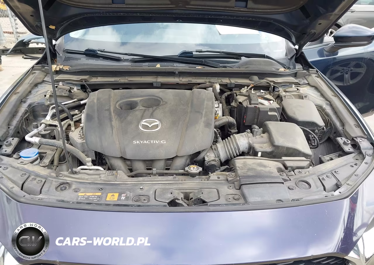 2019 Mazda Mazda3 Preferred Package VIN:JM1BPBDMXK1116011 - 10
