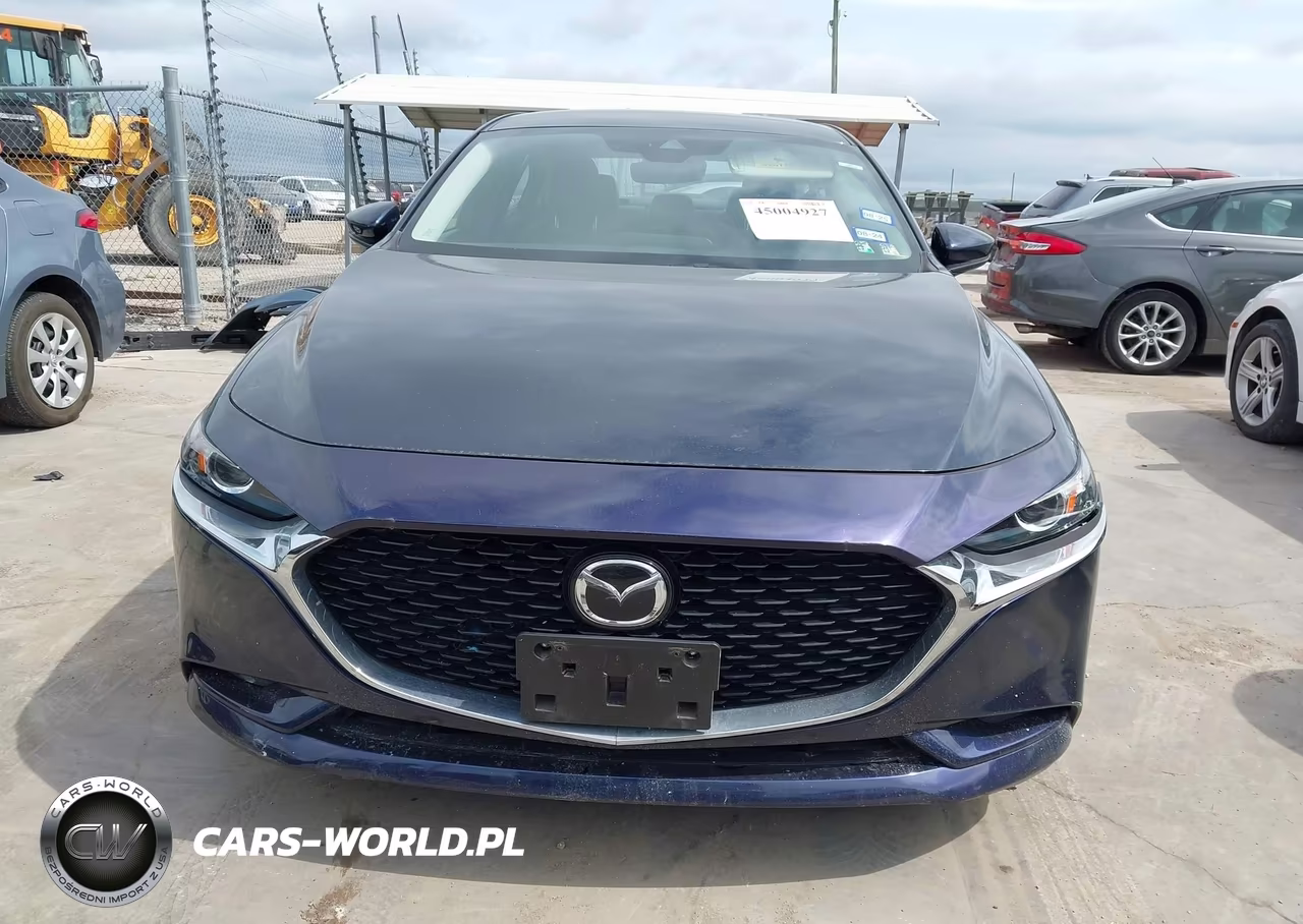 2019 Mazda Mazda3 Preferred Package VIN:JM1BPBDMXK1116011 - 12
