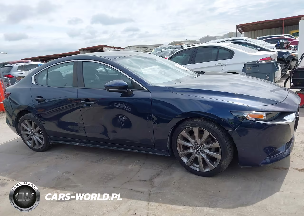 2019 Mazda Mazda3 Preferred Package VIN:JM1BPBDMXK1116011 - 13