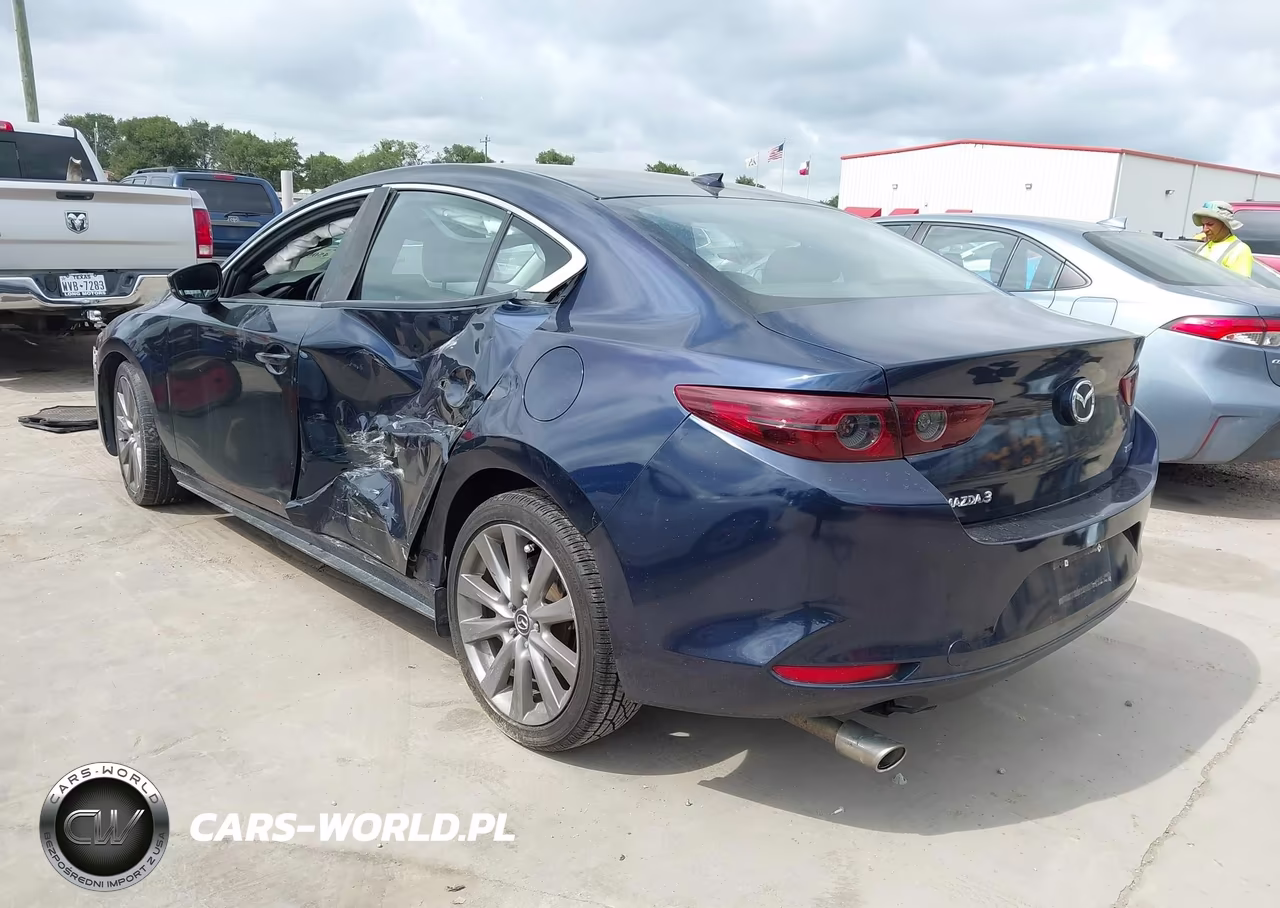 2019 Mazda Mazda3 Preferred Package VIN:JM1BPBDMXK1116011 - 3