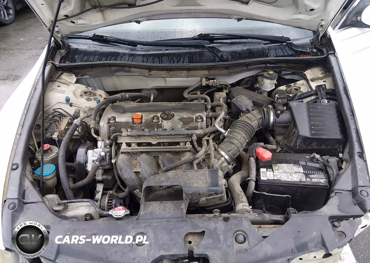 2011 Honda Accord 2.4 Se VIN:1HGCP2F62BA007496 - 10