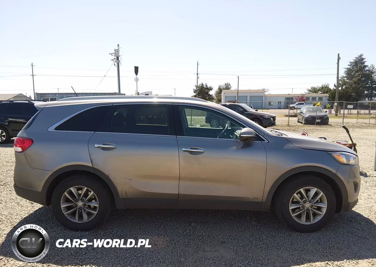 2017 Kia Sorento 3.3L Lx VIN:5XYPGDA59HG312710 - 13