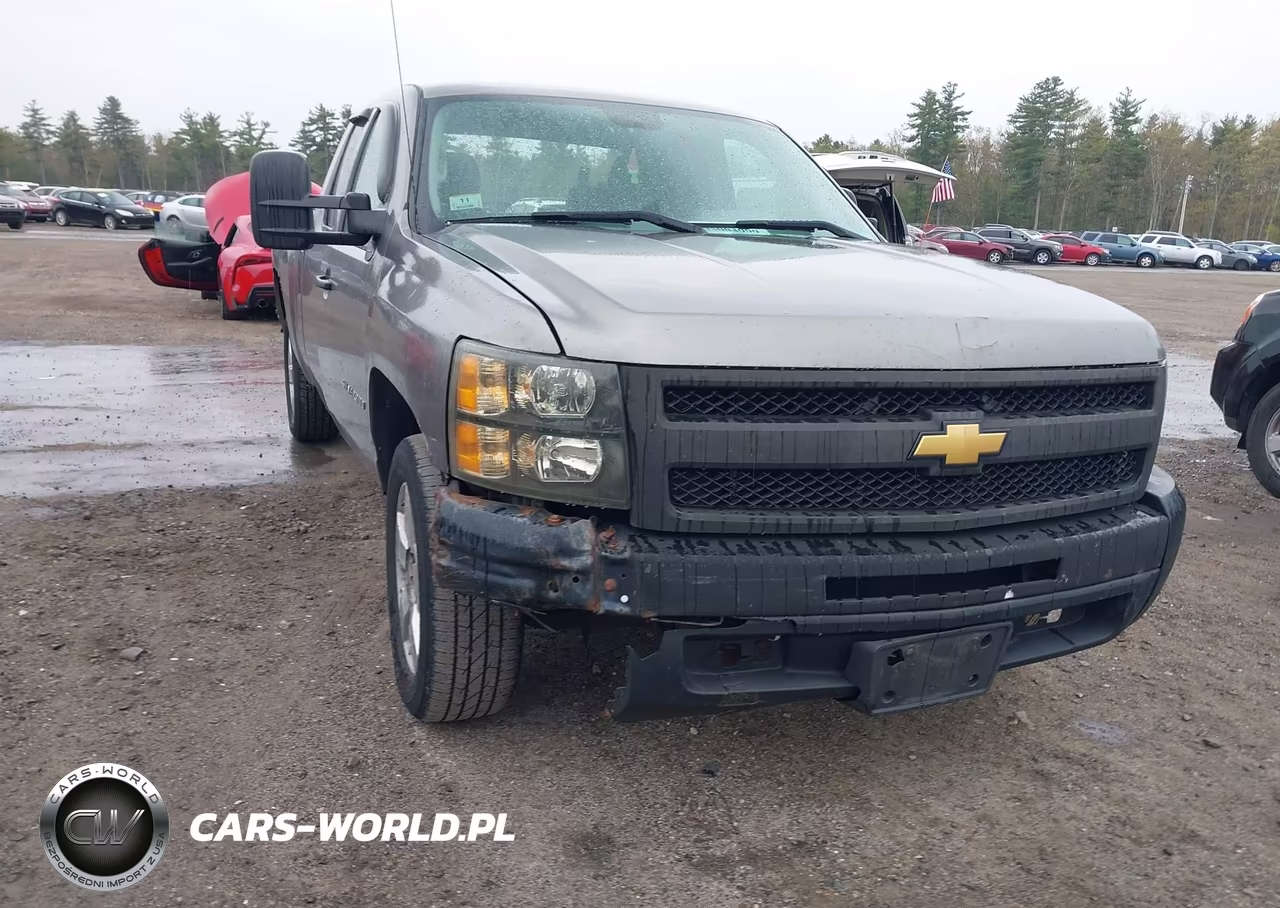 2012 Chevrolet Silverado 1500 Work Truck VIN:1GCRCPEX0CZ306094 - 19
