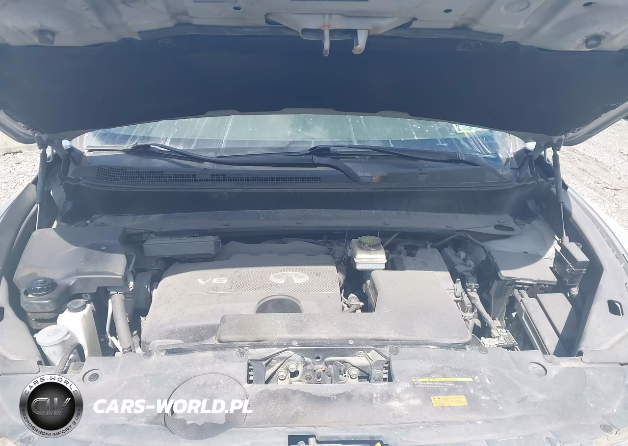 2019 Infiniti Qx60 Pure VIN:5N1DL0MN2KC564471 - 10