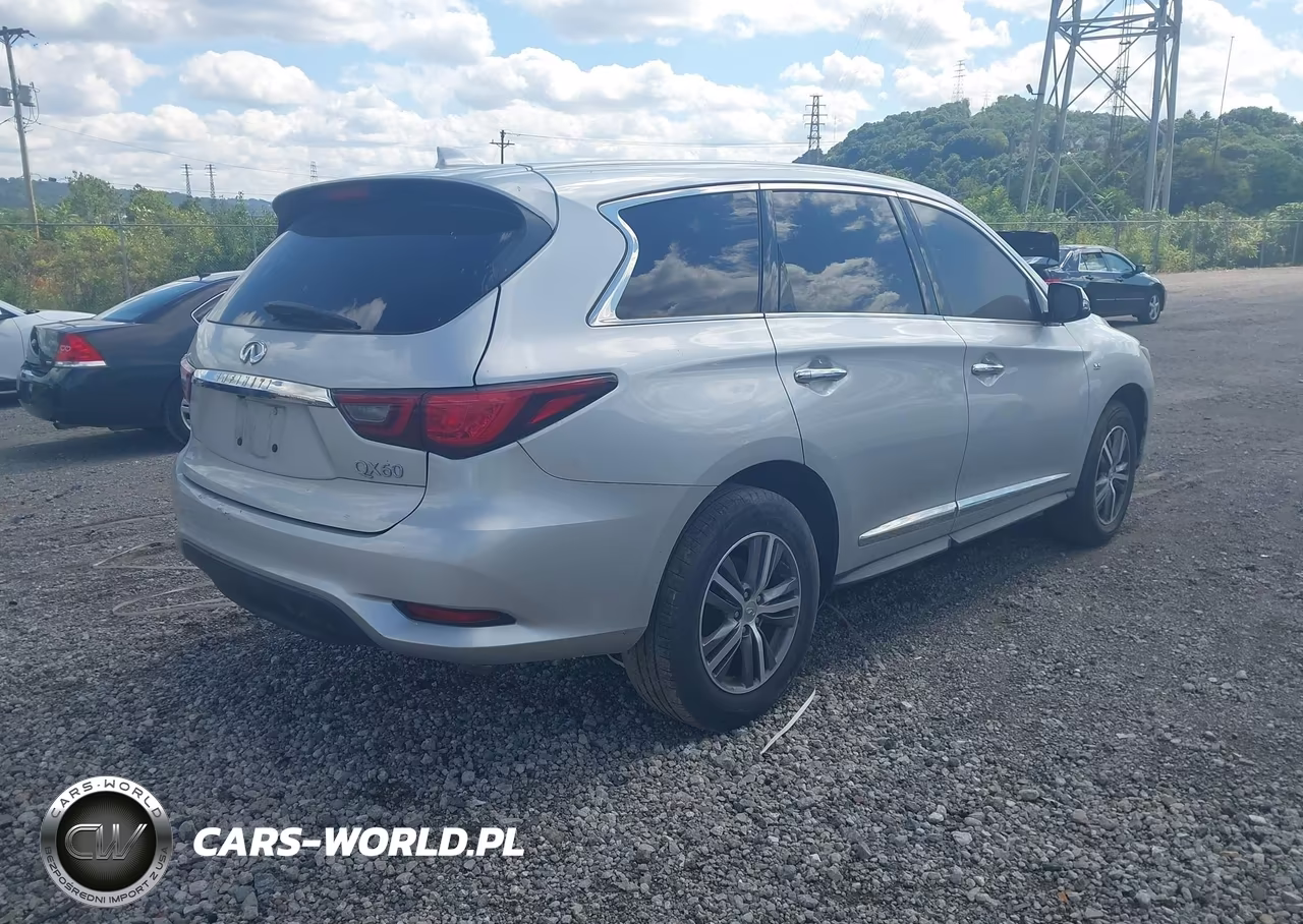 2019 Infiniti Qx60 Pure VIN:5N1DL0MN2KC564471 - 4
