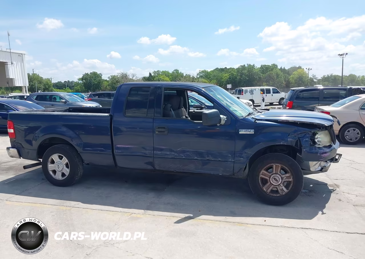 2004 Ford F-150 Stx-Xl-Xlt VIN:1FTRX12W74NC39256 - 12