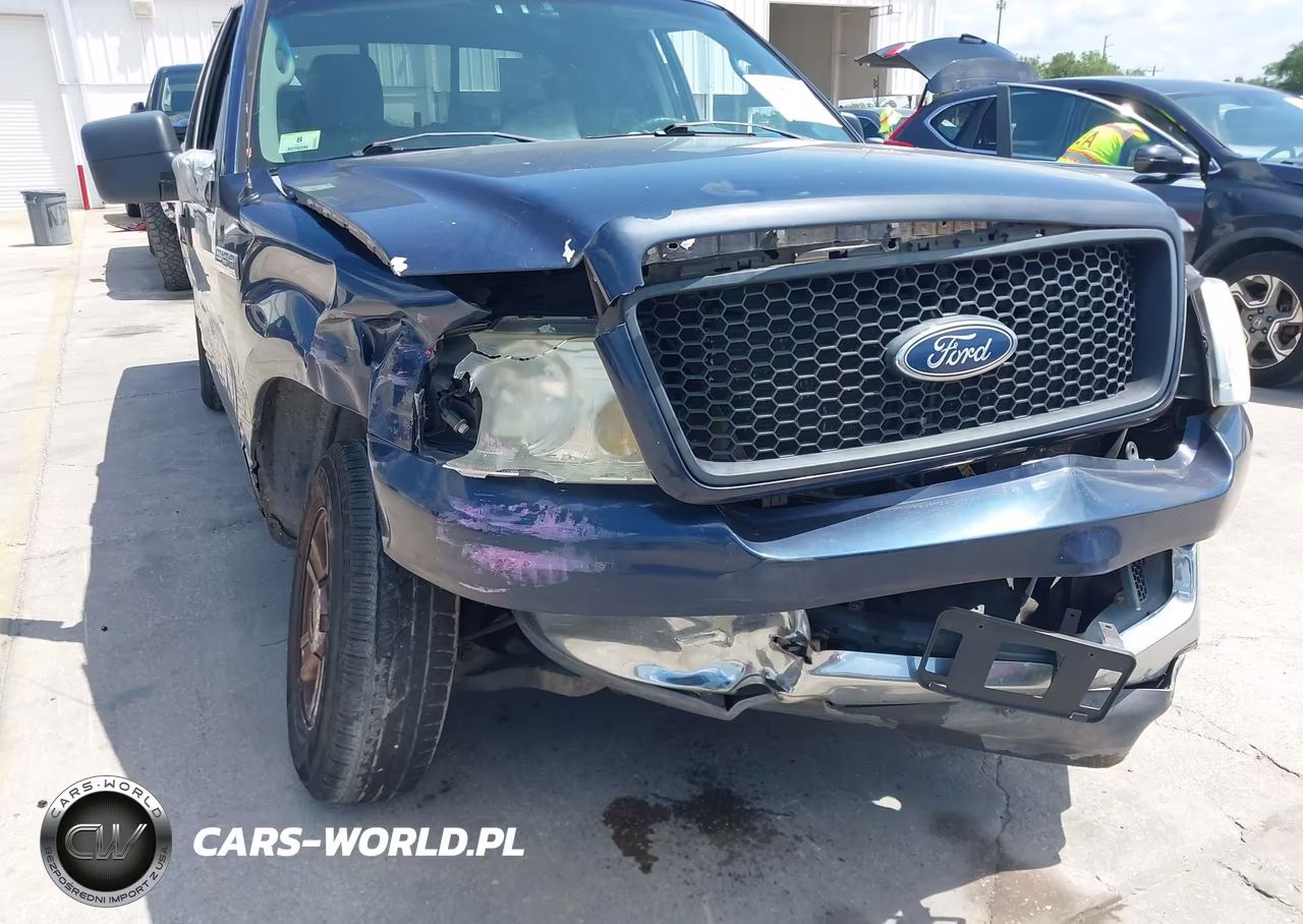 2004 Ford F-150 Stx-Xl-Xlt VIN:1FTRX12W74NC39256 - 6