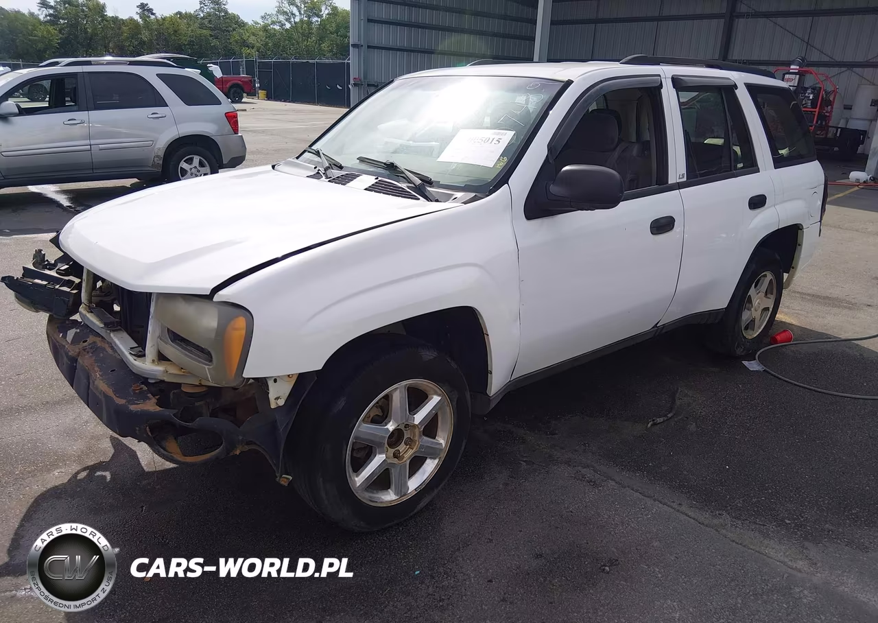 2004 Chevrolet Trailblazer Ls VIN:1GNDS13S942407489 - 2