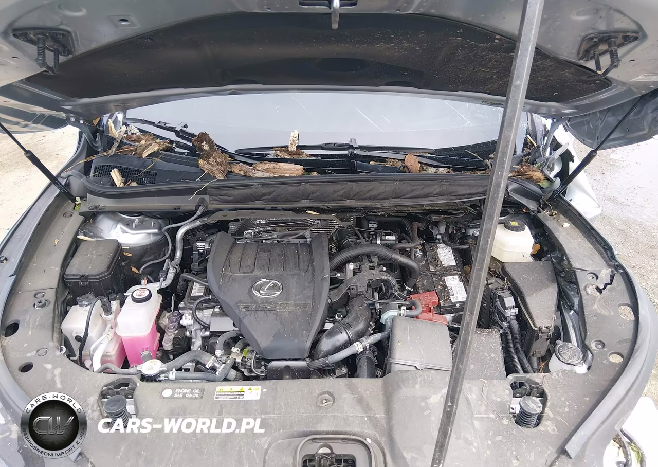2024 Lexus Rx 350 Luxury-Premium-Premium Plus VIN:2T2BAMBA2RC046463 - 10