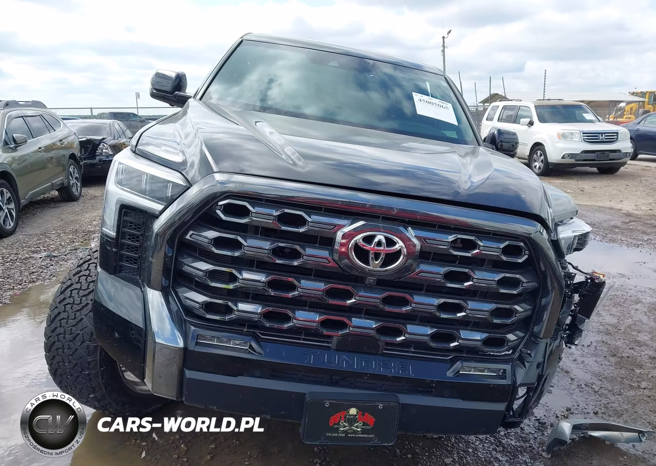2025 Toyota Tundra Platinum VIN:5TFNA5DB3SX281054 - 12