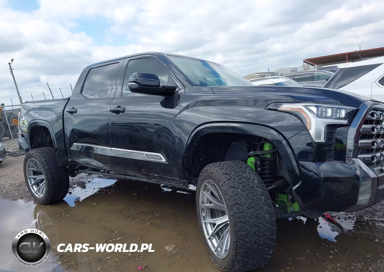 2025 Toyota Tundra Platinum VIN:5TFNA5DB3SX281054 - 13