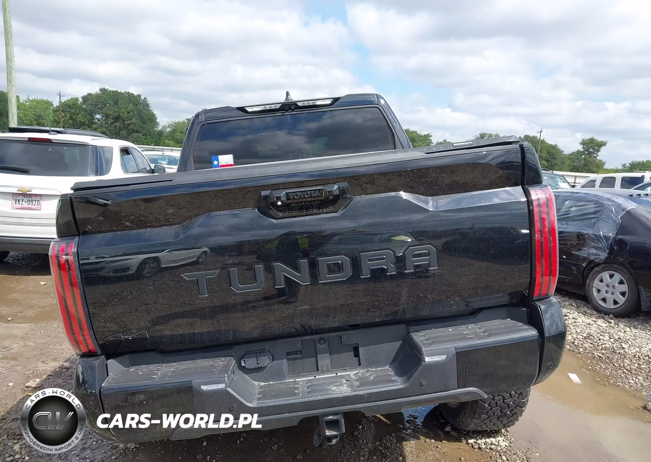2025 Toyota Tundra Platinum VIN:5TFNA5DB3SX281054 - 16