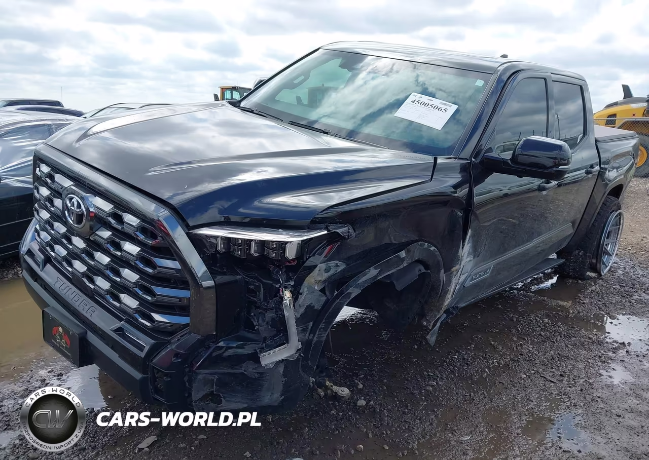 2025 Toyota Tundra Platinum VIN:5TFNA5DB3SX281054 - 2