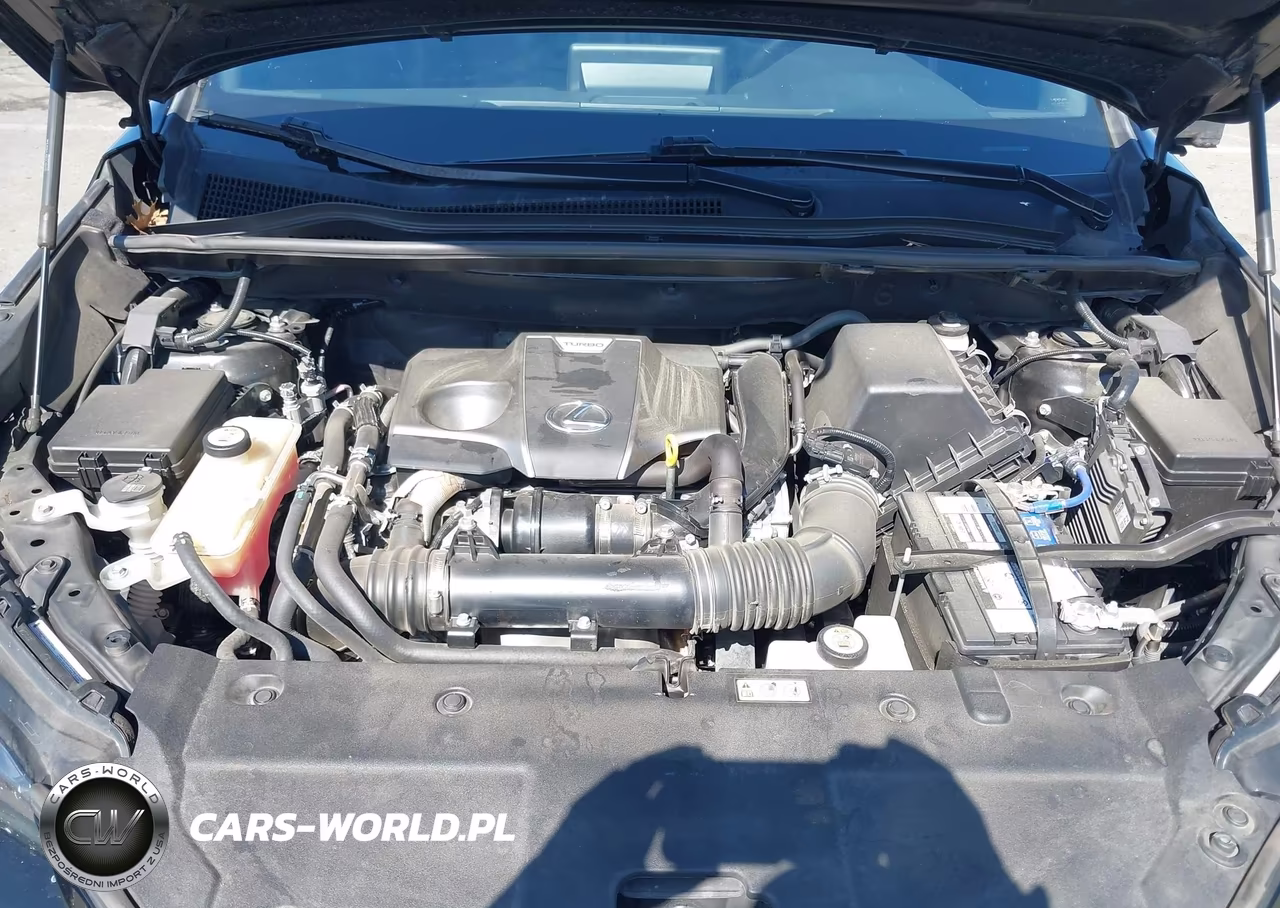 2021 Lexus Nx 300 F Sport VIN:JTJSARBZ6M2182865 - 10