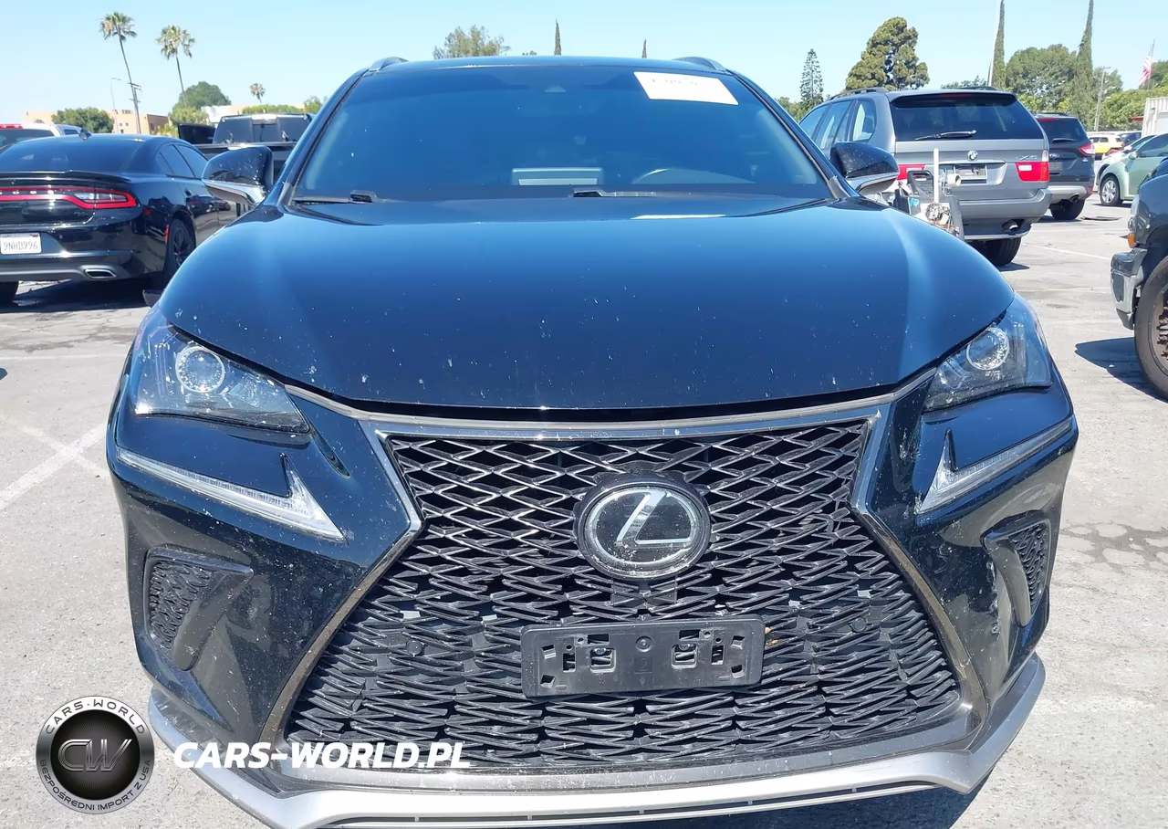 2021 Lexus Nx 300 F Sport VIN:JTJSARBZ6M2182865 - 13