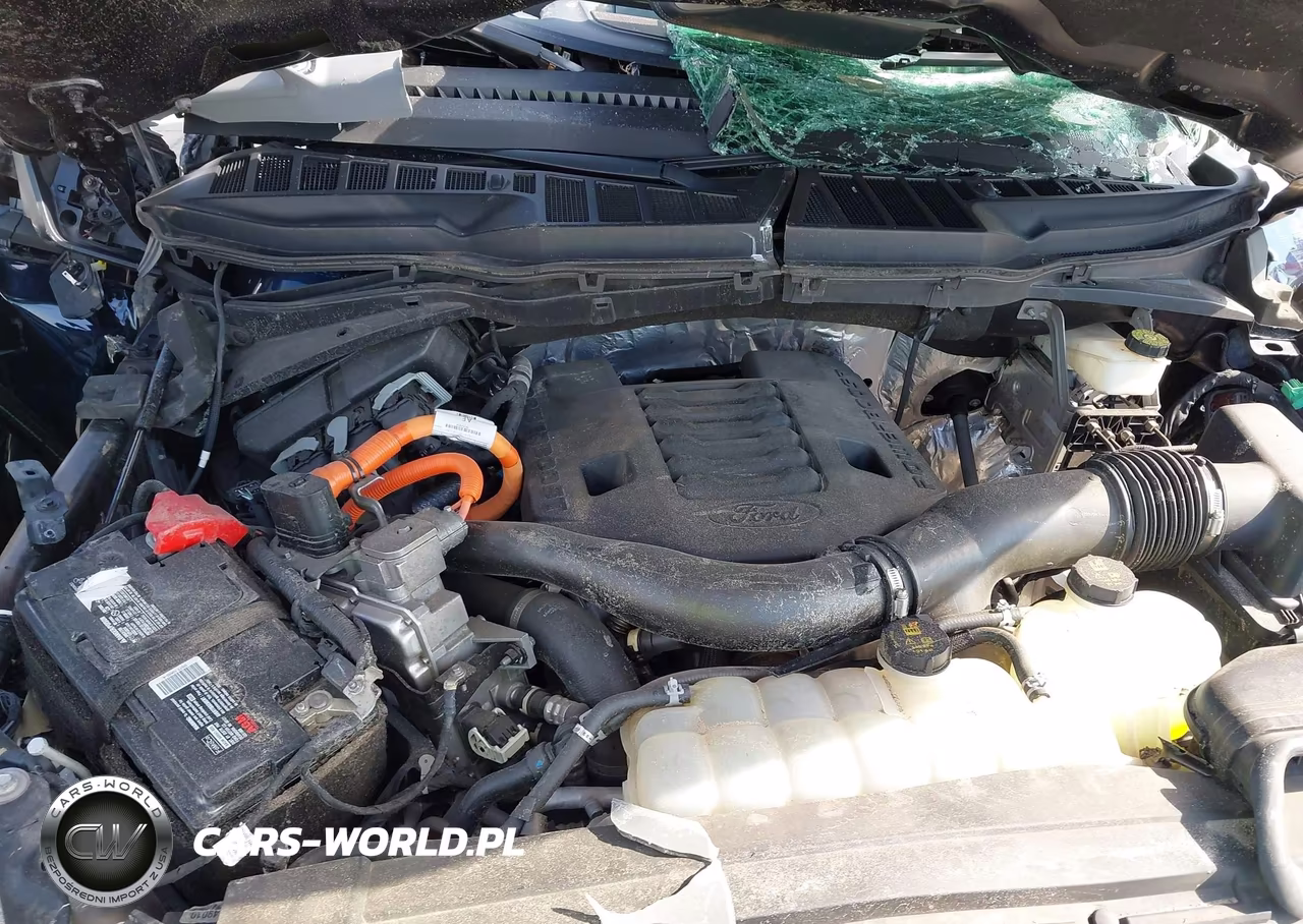 2023 Ford F-150 Limited VIN:1FTFW1ED9PFA25464 - 10