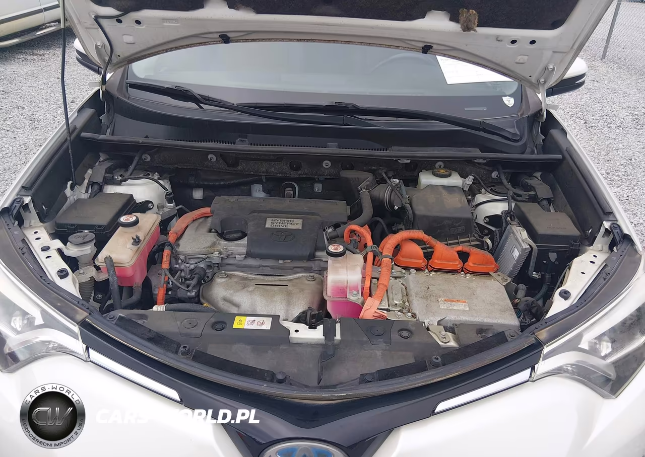 2017 Toyota Rav4 Hybrid Limited VIN:JTMDJREV4HD081886 - 10
