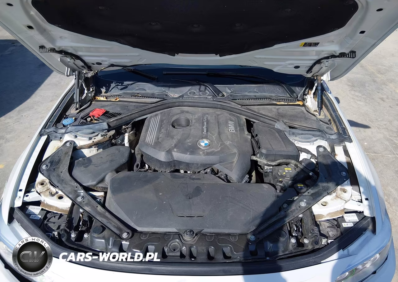 2017 BMW 430I VIN:WBA4U7C51H5D43260 - 10