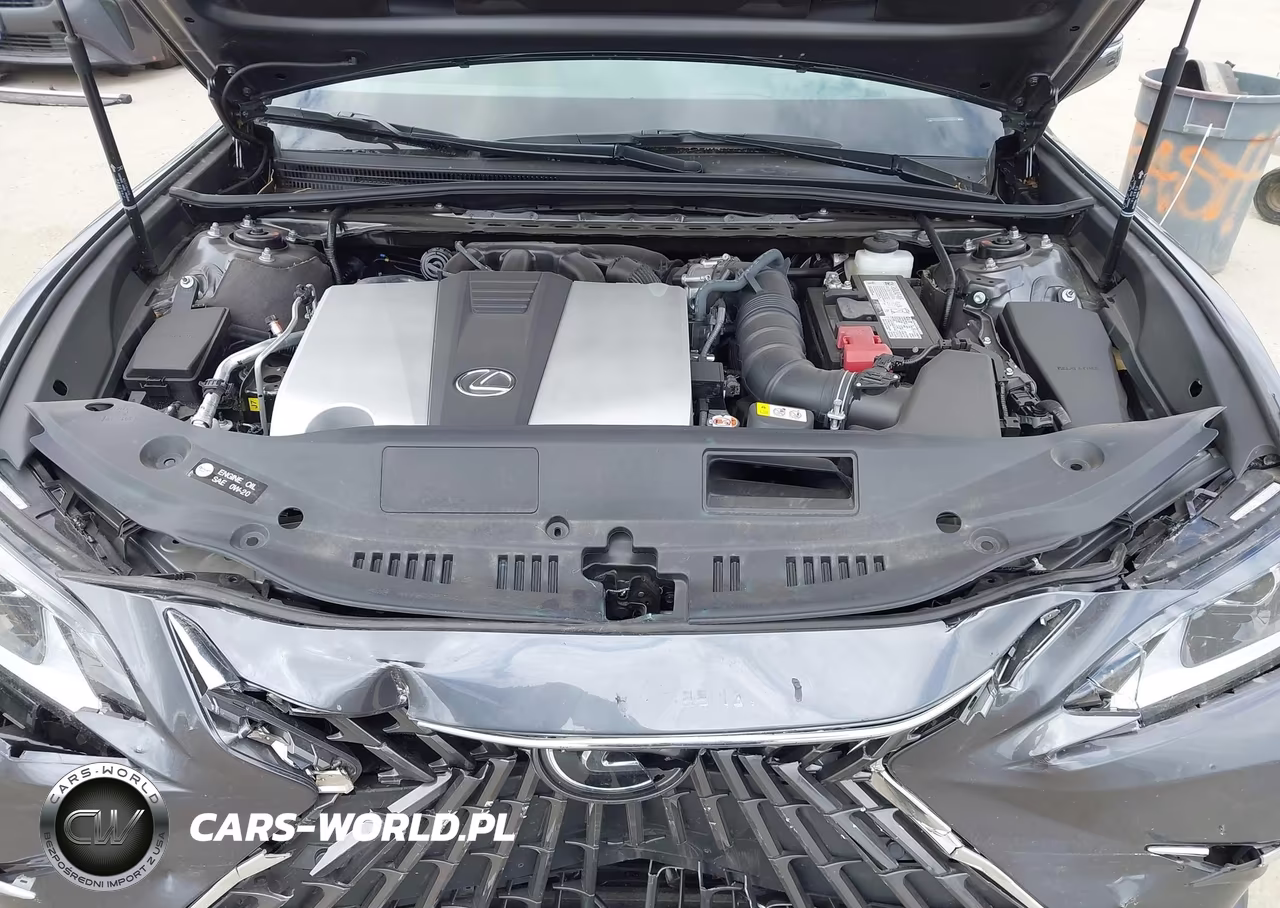 2025 Lexus Es 350 VIN:58ADZ1B12SU211719 - 10