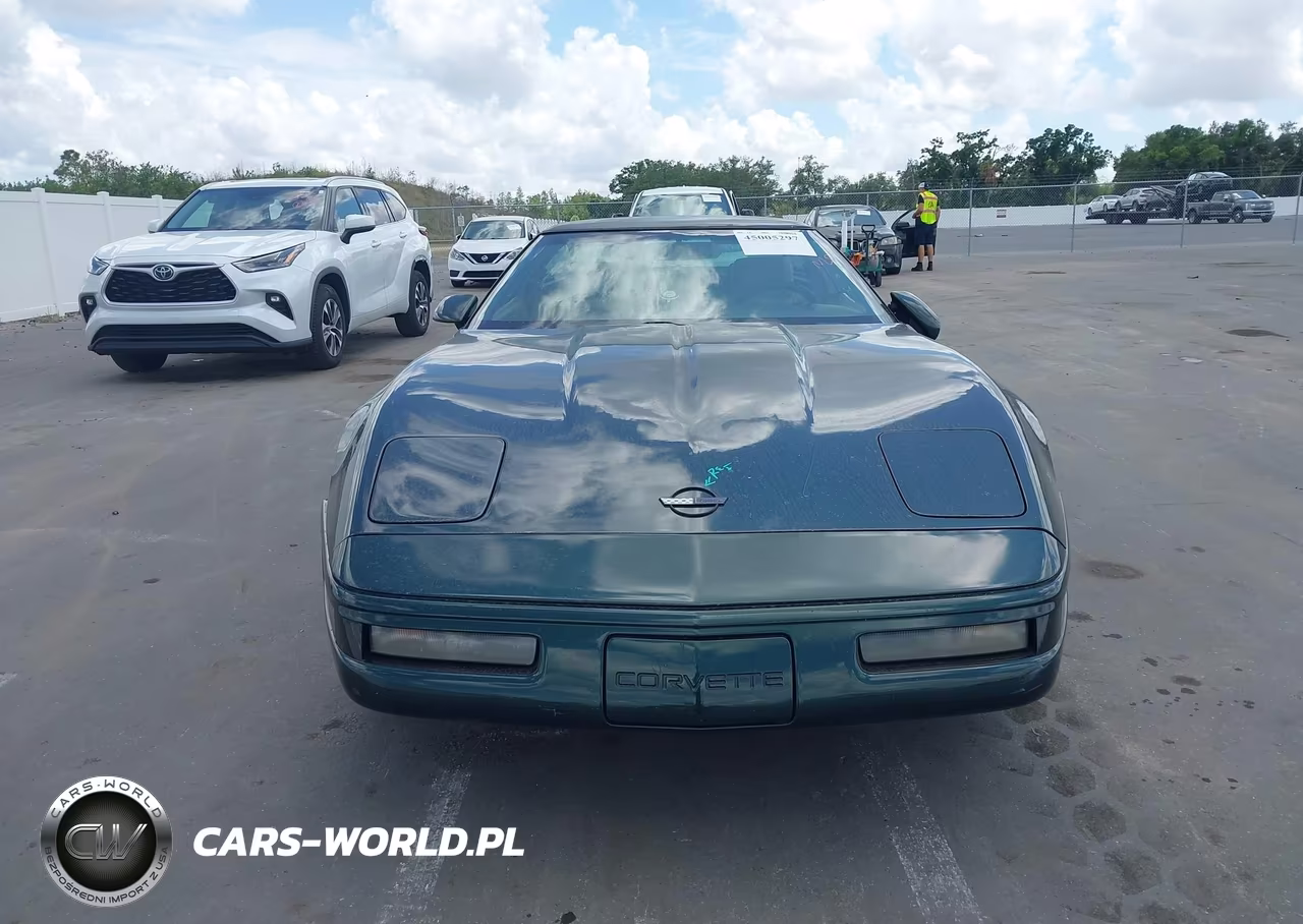 1993 Chevrolet Corvette VIN:1G1YY23P5P5108801 - 12