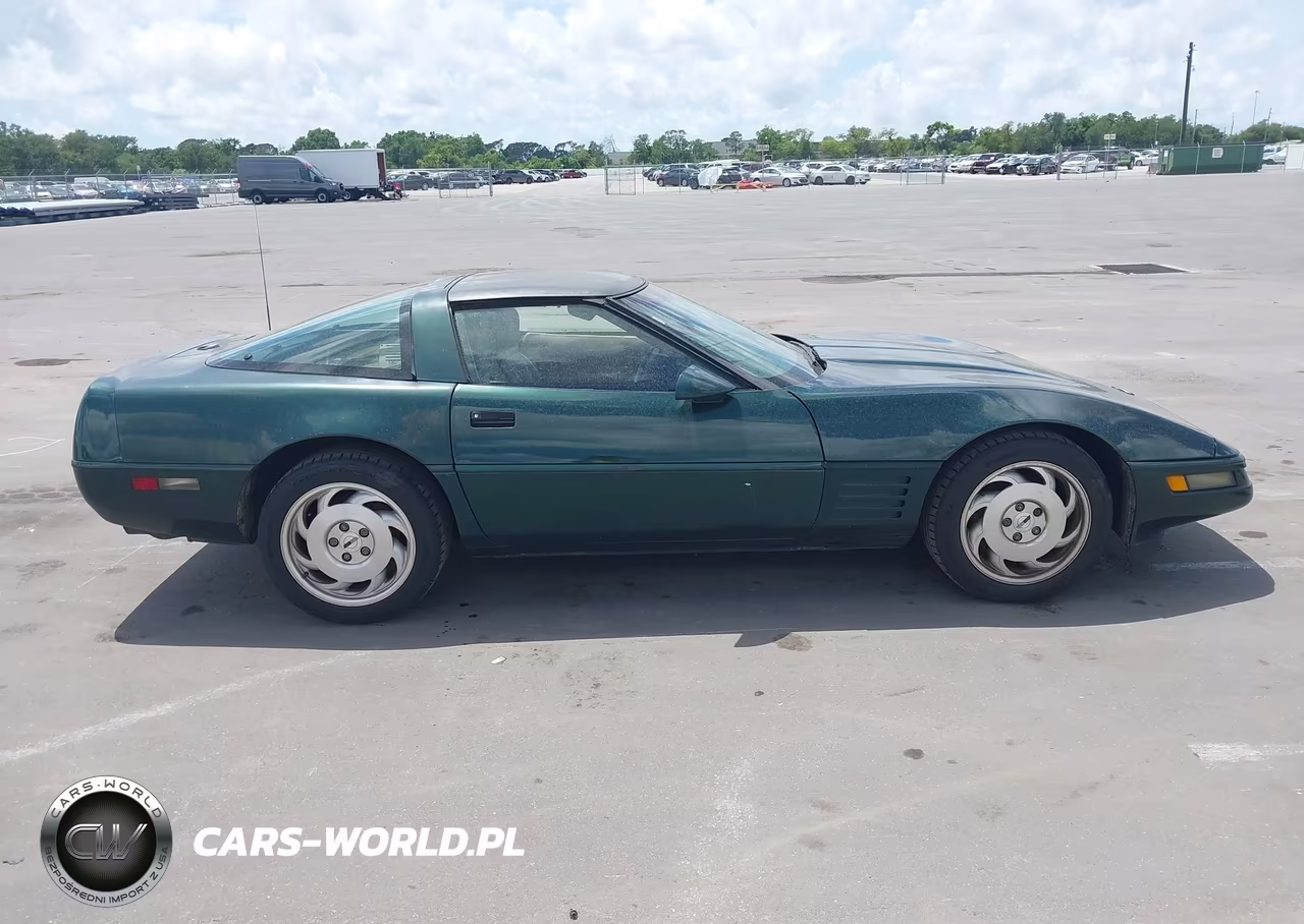 1993 Chevrolet Corvette VIN:1G1YY23P5P5108801 - 13