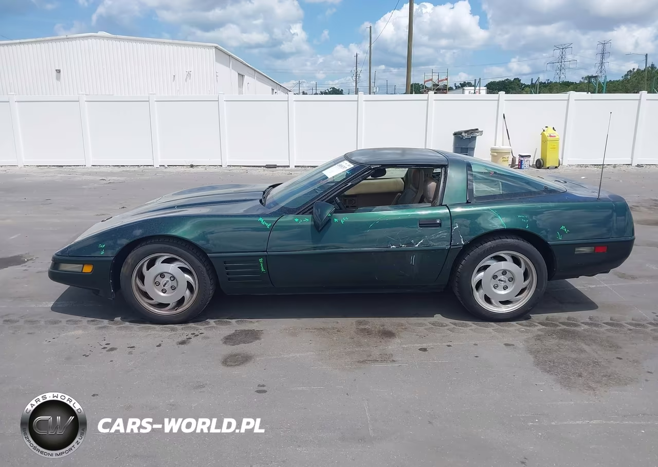 1993 Chevrolet Corvette VIN:1G1YY23P5P5108801 - 14