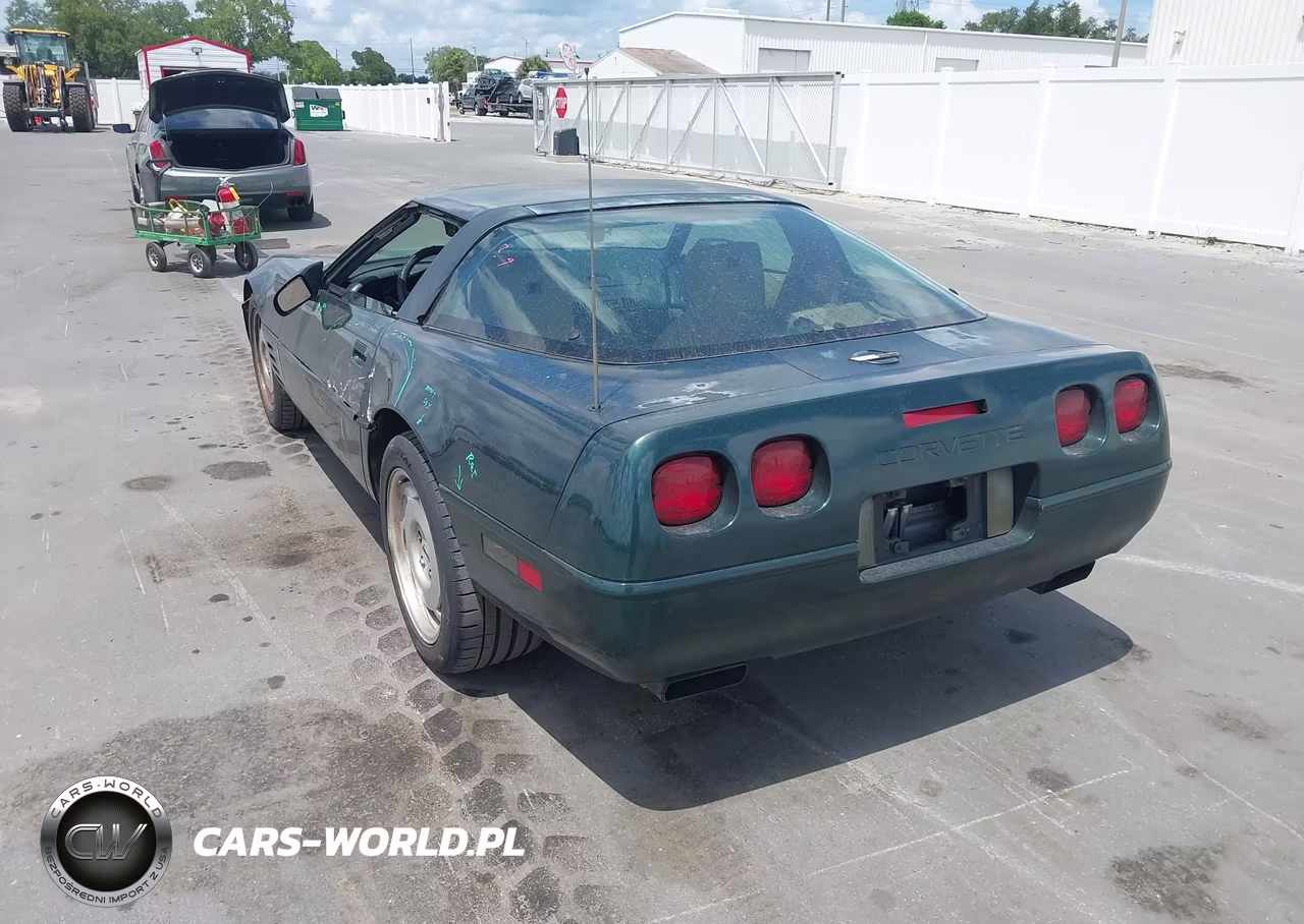 1993 Chevrolet Corvette VIN:1G1YY23P5P5108801 - 3