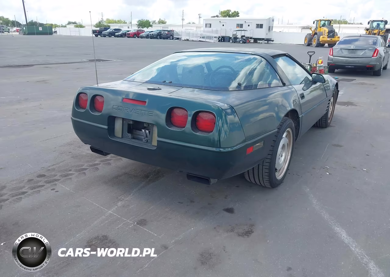 1993 Chevrolet Corvette VIN:1G1YY23P5P5108801 - 4