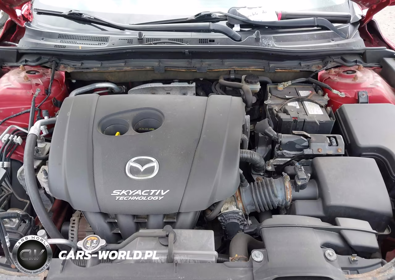2016 Mazda Mazda3 I Sport VIN:JM1BM1U79G1344652 - 10