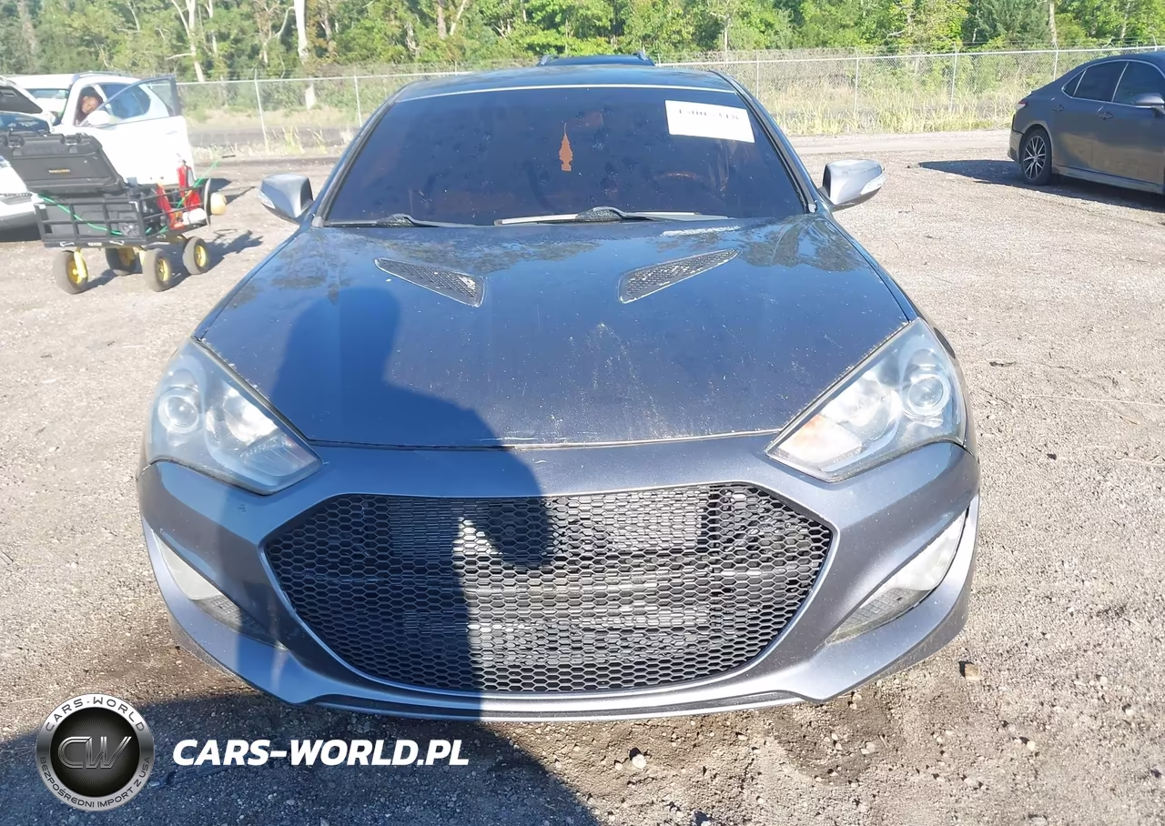 2015 Hyundai Genesis 3.8 Base VIN:KMHHT6KJXFU129184 - 12