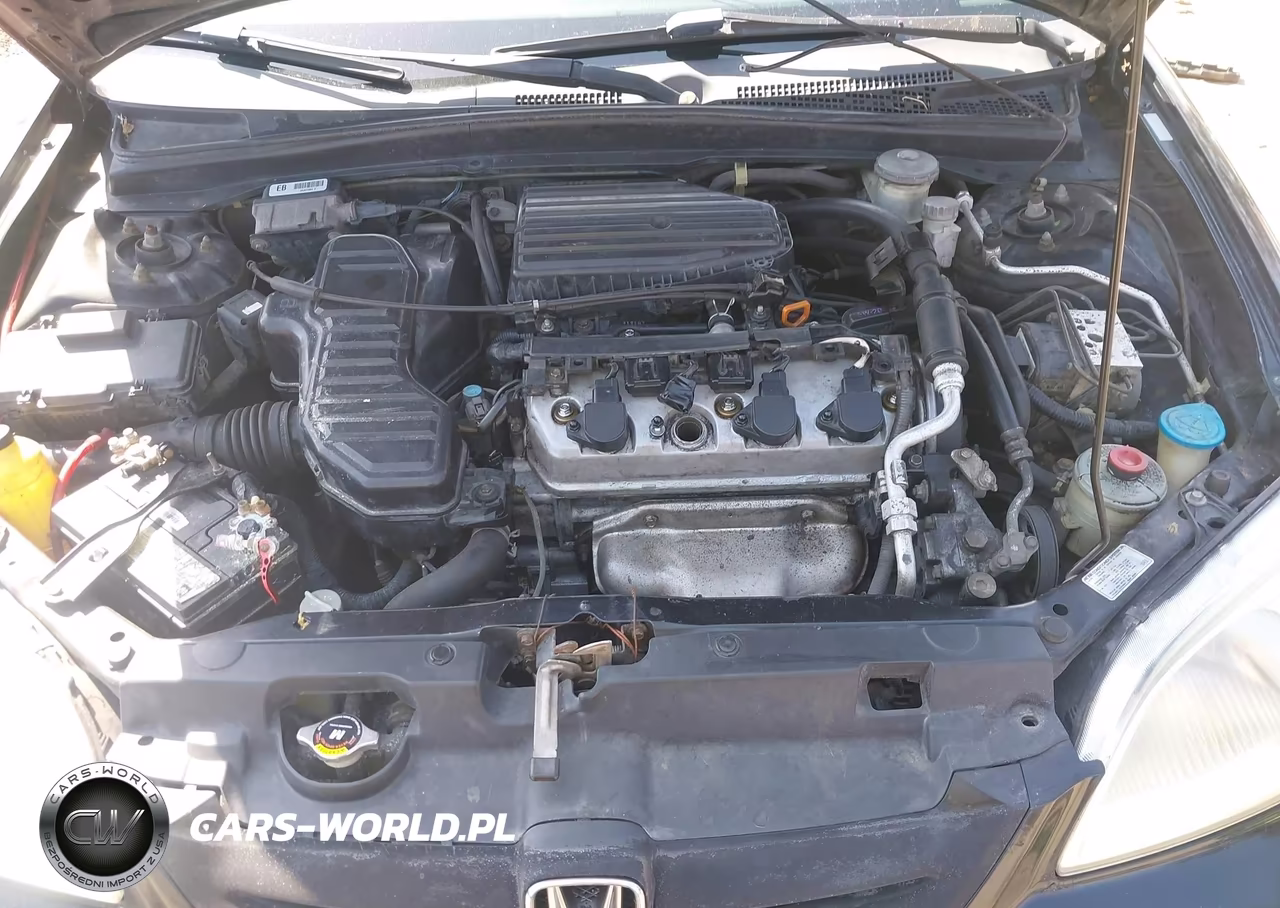 2003 Honda Civic Ex VIN:1HGEM21913L012276 - 10