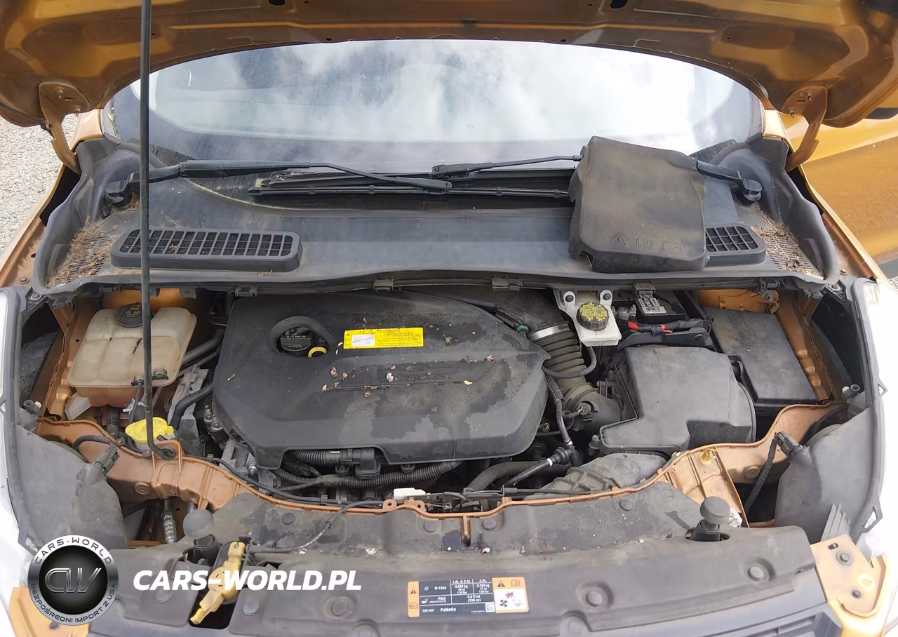 2016 Ford Escape Se VIN:1FMCU0GX6GUB16483 - 10
