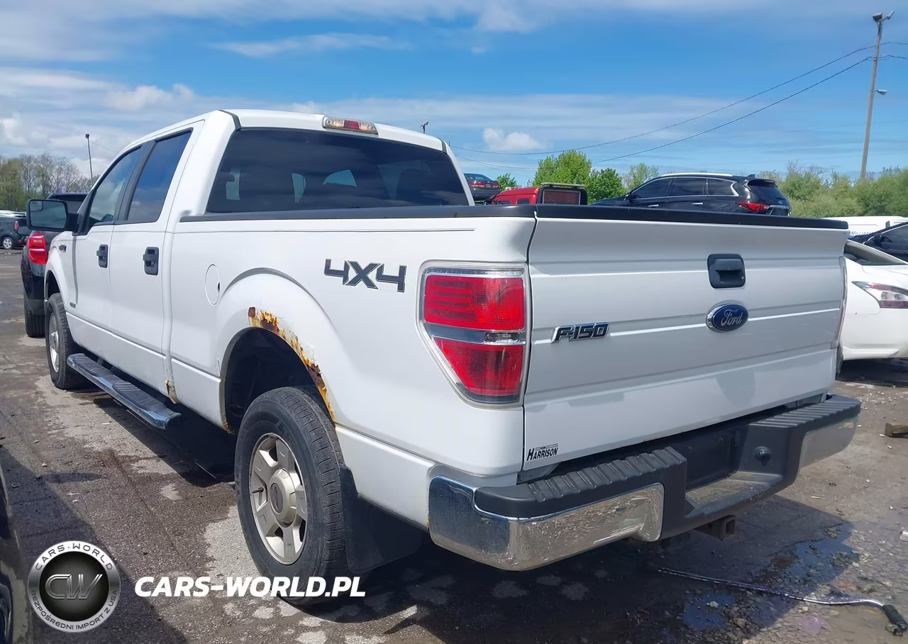 2013 Ford F-150 Fx4-King Ranch-Lariat-Limited-Platinum-Xl-Xlt VIN:1FTFW1ET4DFD35170 - 3