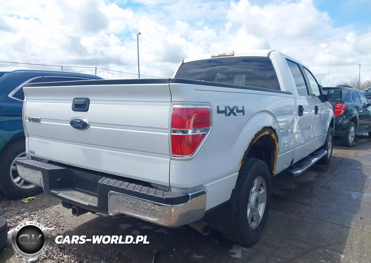 2013 Ford F-150 Fx4-King Ranch-Lariat-Limited-Platinum-Xl-Xlt VIN:1FTFW1ET4DFD35170 - 4